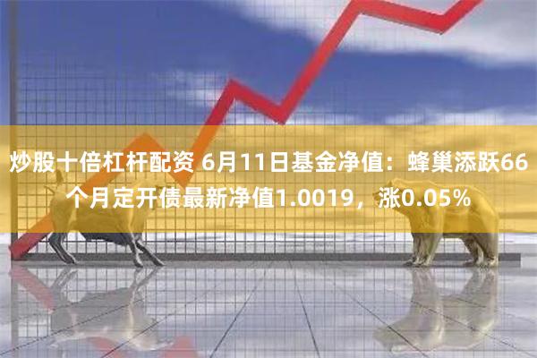 炒股十倍杠杆配资 6月11日基金净值：蜂巢添跃66个月定开债最新净值1.0019，涨0.05%