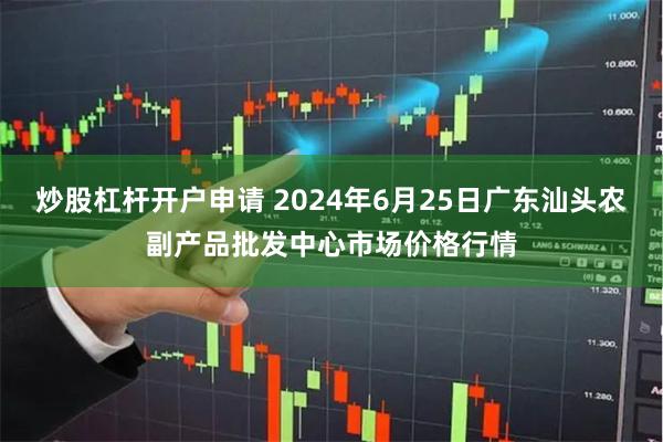 炒股杠杆开户申请 2024年6月25日广东汕头农副产品批发中心市场价格行情