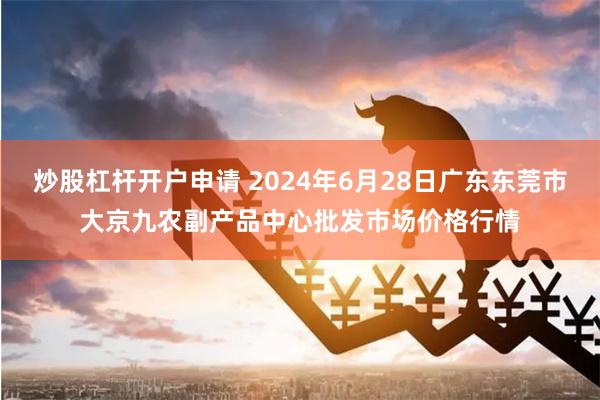 炒股杠杆开户申请 2024年6月28日广东东莞市大京九农副产品中心批发市场价格行情